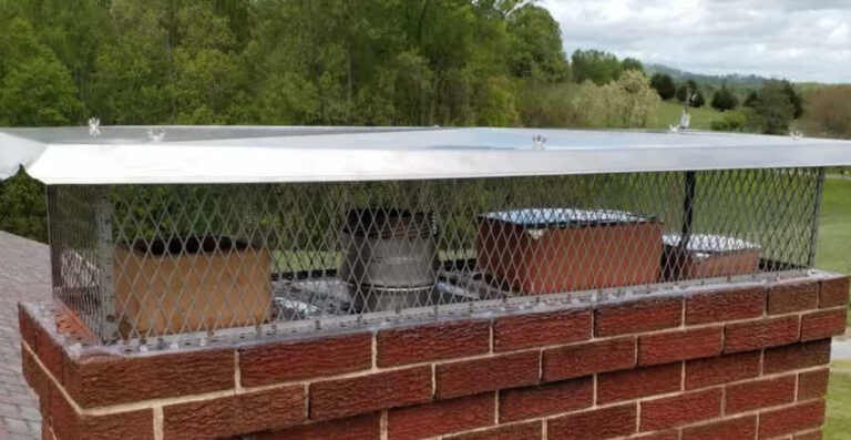 Chimney Cap Installation | Black Goose Chimney Service