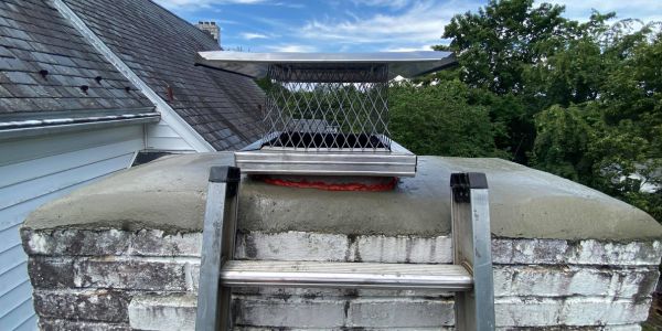 Repaired Chimney with New Cap and Crown | Black Goose Chimney Service
